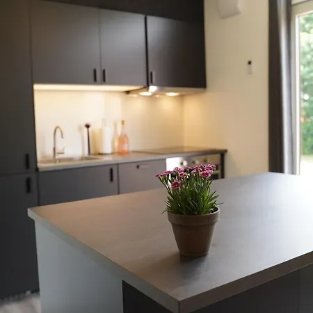 Holiday Apartments Tonder *